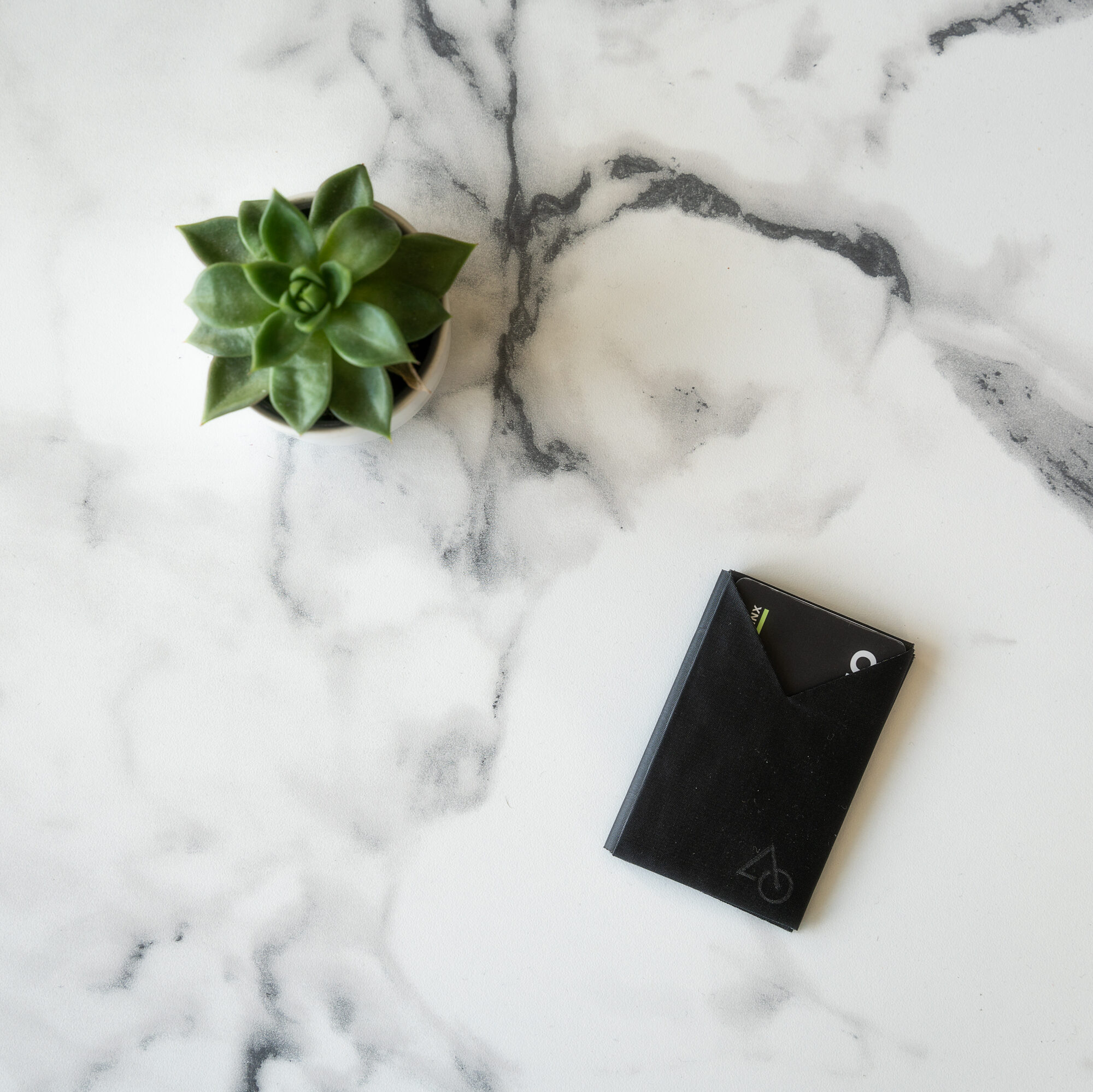 Image of Wallet on marble table with plant